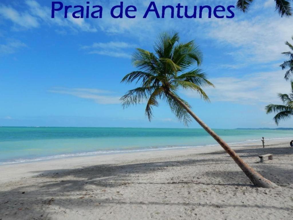 Apartment Flat - Completo Maragogi